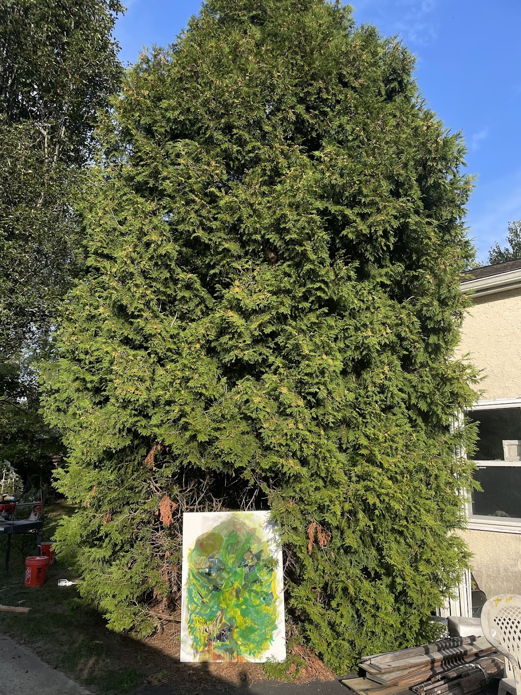 Untitled installed outdoors